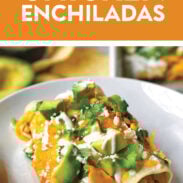 Skinny Chicken Enchiladas Pin